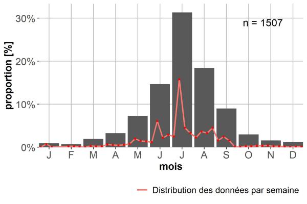 Carabes de Suisse  - Carabus violaceus 