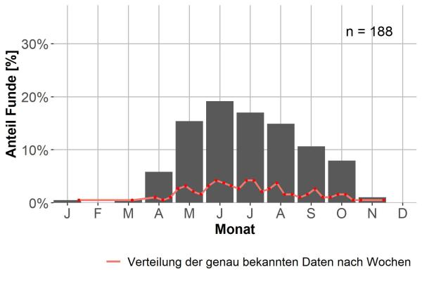   - Licinus hoffmanseggii