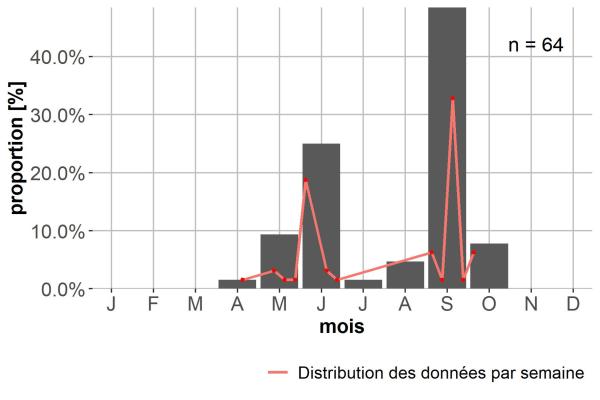 Carabes de Suisse  - Nebria psammodes