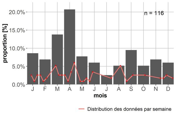 Carabes de Suisse  - Ocys tachysoides