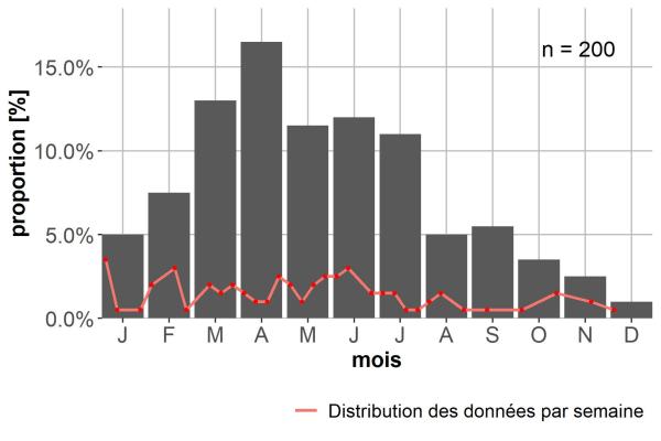 Carabes de Suisse  - Philorhizus notatus