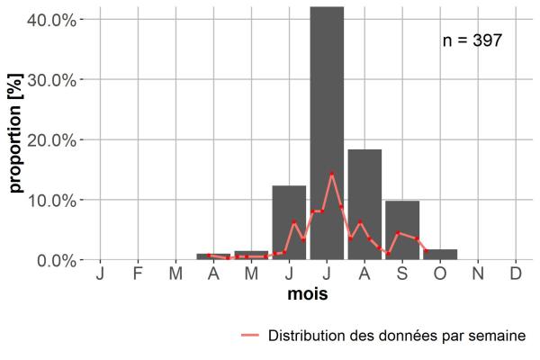 Carabes de Suisse  - Trechus pertyi