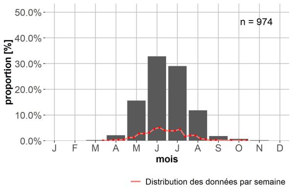 Carabes de Suisse  - Trichotichnus laevicollis