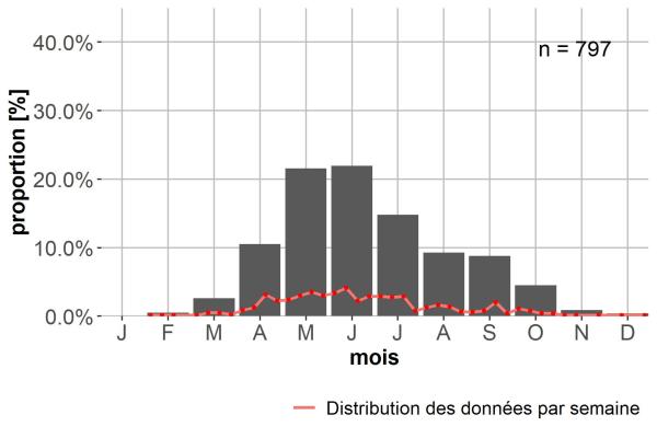Phénologie de Bembidion deletum.