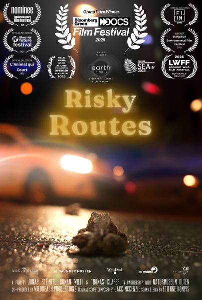 Erdkröte vor Auto in der Nacht