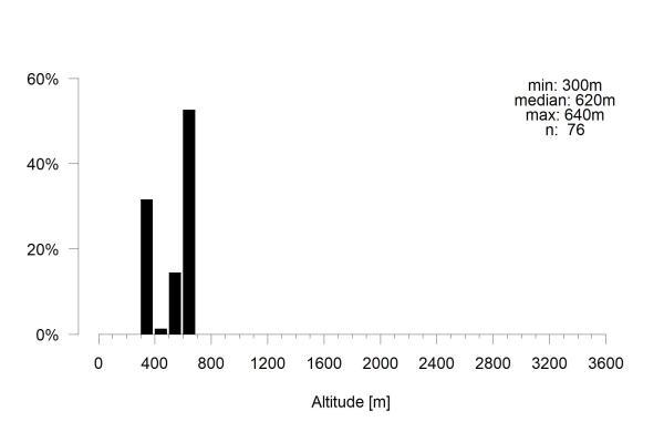 Les abeilles sauvages de Suisse Lasioglosse des dunes - Lasioglossum tarsatum