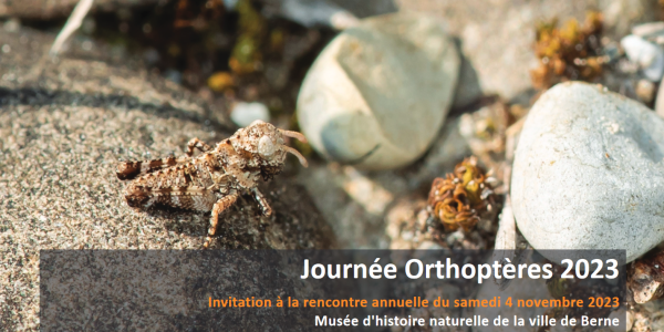 Journée suisse Orthoptères 2023 (© Orthoptera.ch)