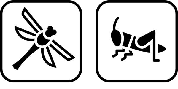 Pictogramme avec libellule, sauterelle, coléoptère, papillon de jour