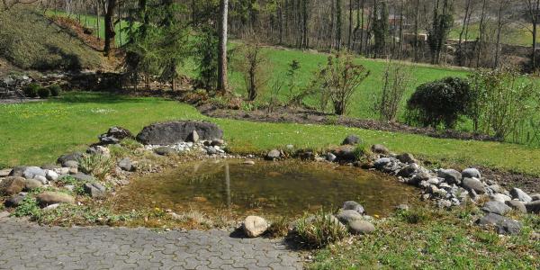 Etang de jardin