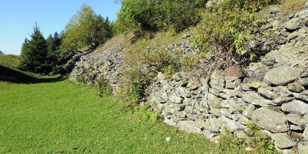 Stützmauer am Rand einer extensiv genutzten Wiese