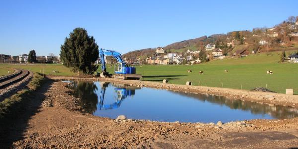 Neu erstellter, flacher Weiher im Landwirtschaftsgebiet