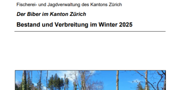 Rapport recensement castor ZH