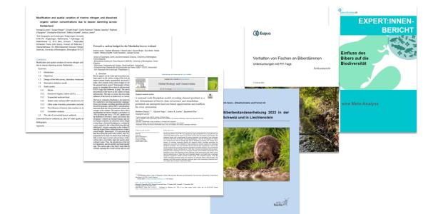 Publikationen nationales Biberforschungsprojekt