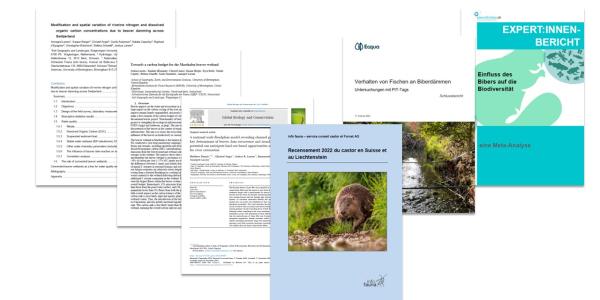 Publication projet castor national