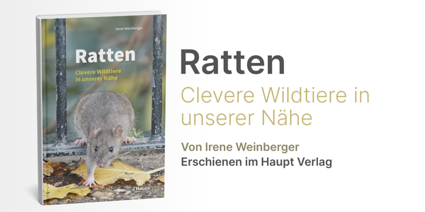 Couverture du livre en allemand « Ratten » sur l’histoire, la biologie et l’écologie des rats