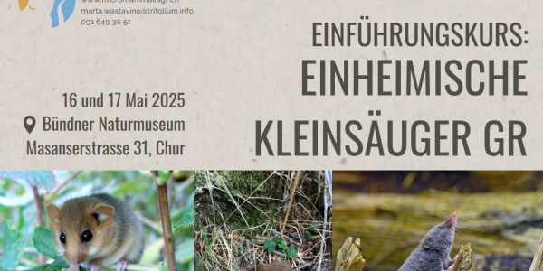 Plakat Säugerkurs mit Fotos von Kleinsäugern