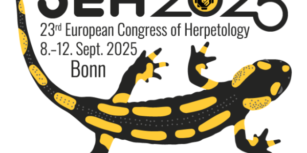 Logo SEH 2025