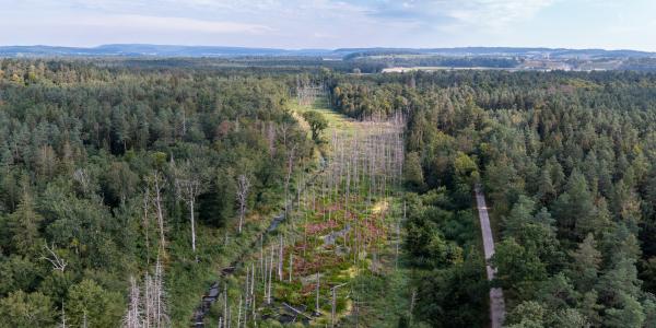 Biberrevier Marthalen Drohne