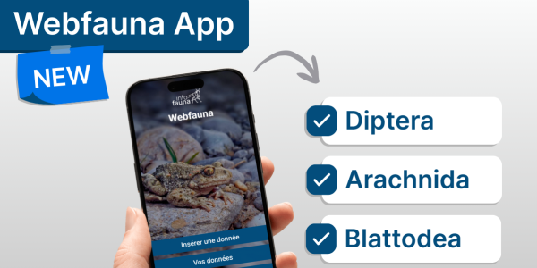 Visuel pour présenter Webfauna App et ses nouvelles listes d'espèces