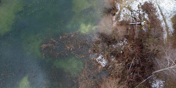 Wintervorrat St. Blaise