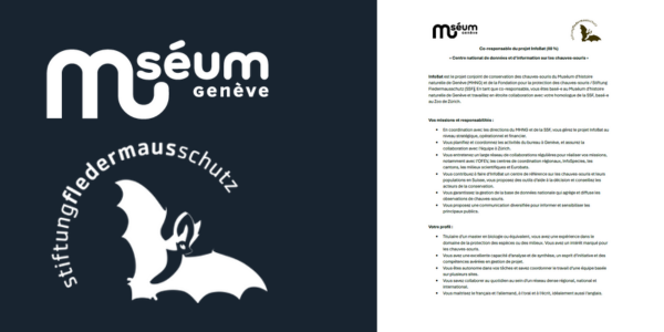 Annonce InfoBat MHNG