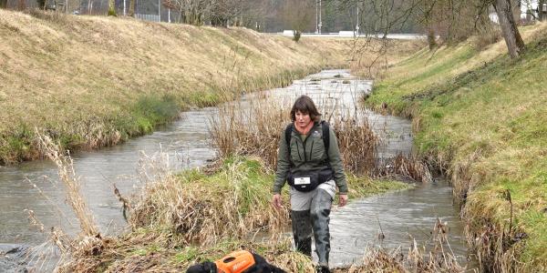 Les chiens détecteurs d’espèces (© Sarah Hummel)