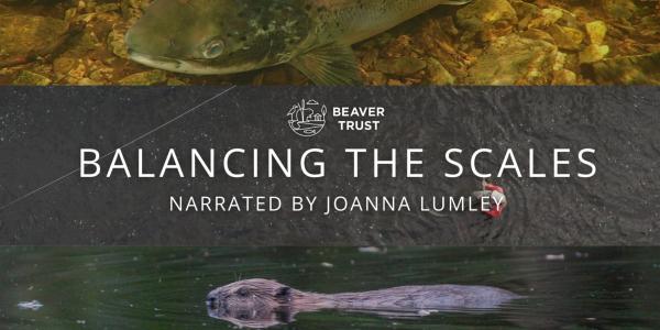 Balancing the Scales