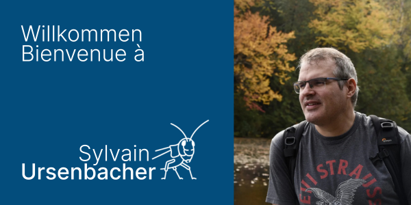 Image de bienvenue pour Sylvain Ursenbacher