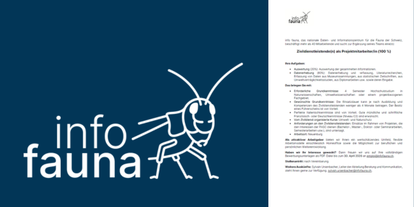 Image d'annonce pour une offre d'emploi