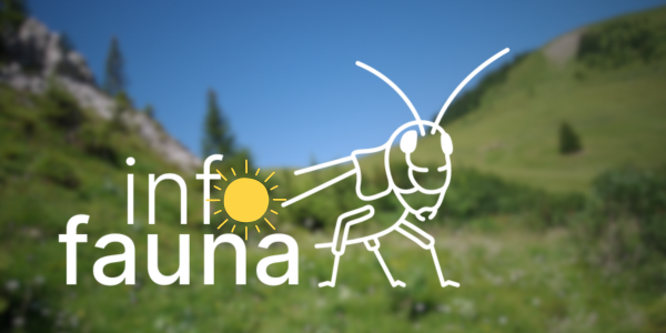 graphique avec logo info fauna et un soleil